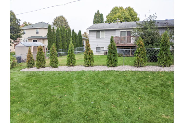 Well Groomed Lawn Detail