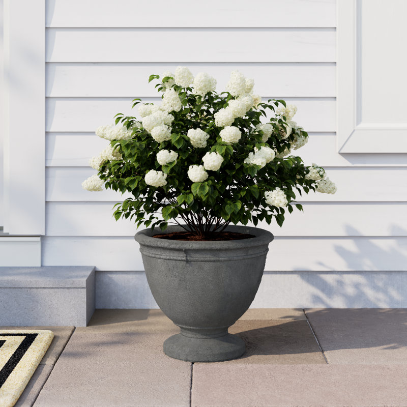 Surrey Urn Planter, Small