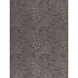 Pure Marigold Wallpaper