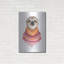 Luxe paresseux «Sloth In A Sweater» par Rachel Niem «Sloth In A Sweater» par Rachel Nieman