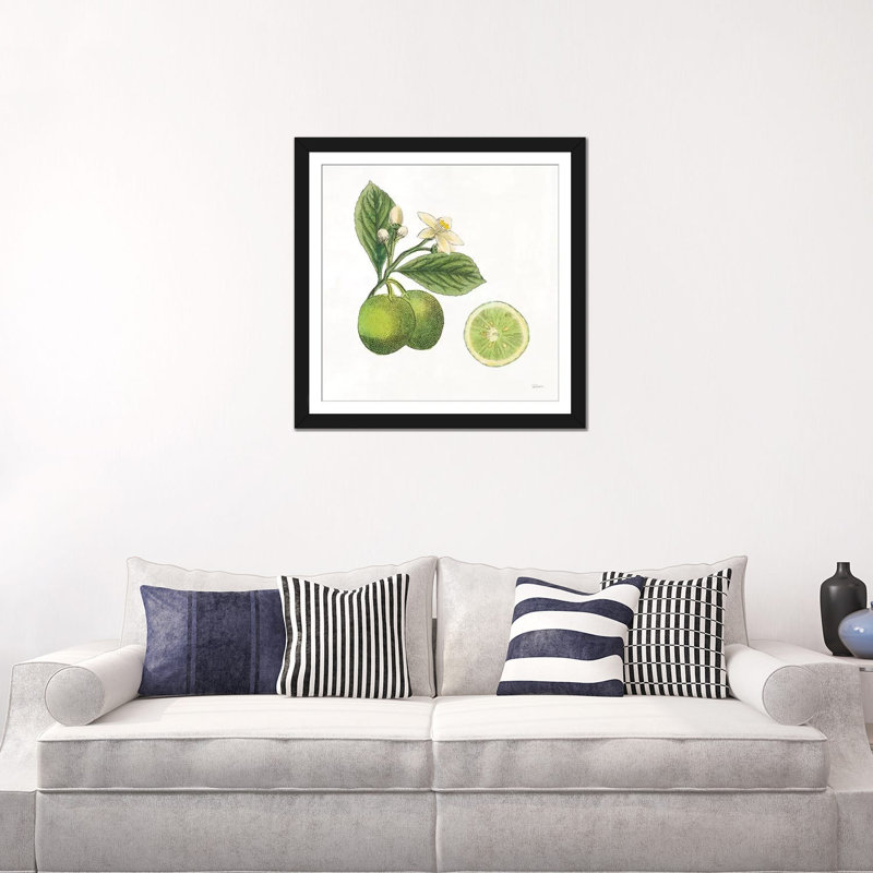 « classic agrumes iii », reproduction d’impression sur toile tendue, H 24 po x l 24 po x P 1 po, Papier d'art encadré noir