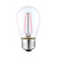 Pink Patio Bulbs (4300-F) - Sold in packages of 12
