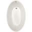 Carli 60'' L Soaking Bathtub-9227752-88749921