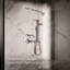 Awaken G90 1.75 Gpm Multifunction Handshower-854431576