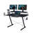 Shaia Metal Base Computer Desk-1677205500