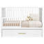 Hushcrib Classic Toddler Railing