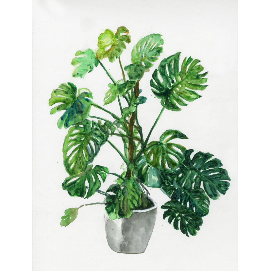 Monstera Plant - Painting Print