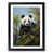 Black Framed selected