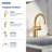 Cia Brushed gold Posi-Temp® shower only-60735855
