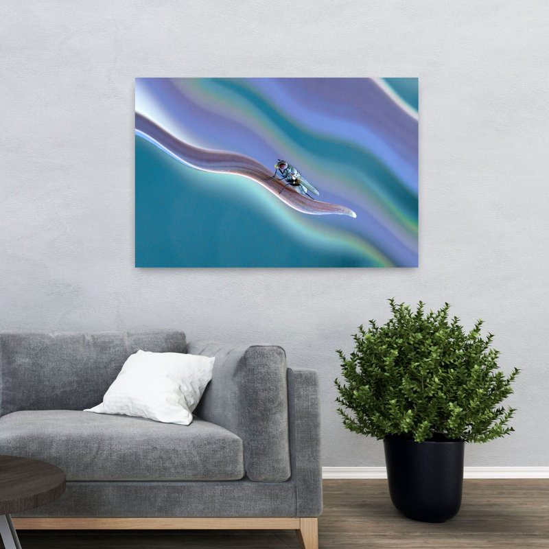 Affiche murale abstraite minimaliste « Fly Fly Blue Swirl », 32" H x 48" W