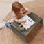 ECR4Kids Bentwood Lap Desk with Handles, Activity Table-104944342