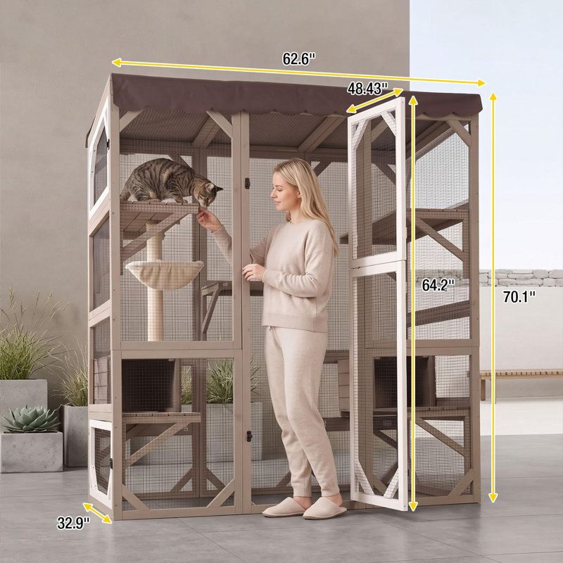 Grande cage à chat pour chat Catio