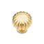 Smooth Melon Mushroom Knob CK Series-12829512