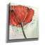 «Not A California Poppy 1» par Chris Paschke, art mural sur toile-1539861546