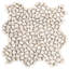 Nature Petite 11.81 In. X 11.81 In. Natural Stone Mosaic Floor And Wall Tile (0.96 Sq. Ft. / Each)