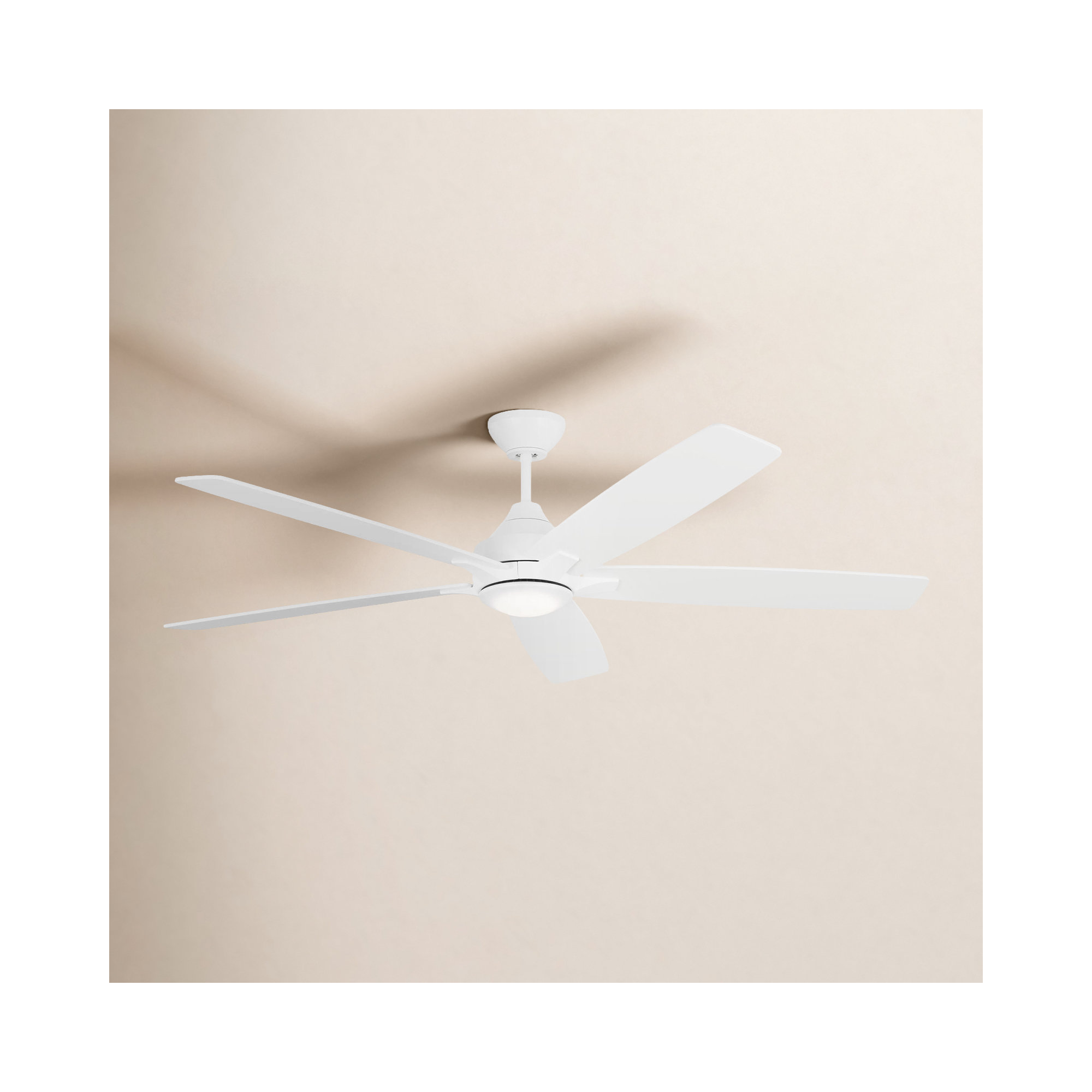 Lise 60'' 5 Blade Ceiling Fan with LED Light Kit, Matte White