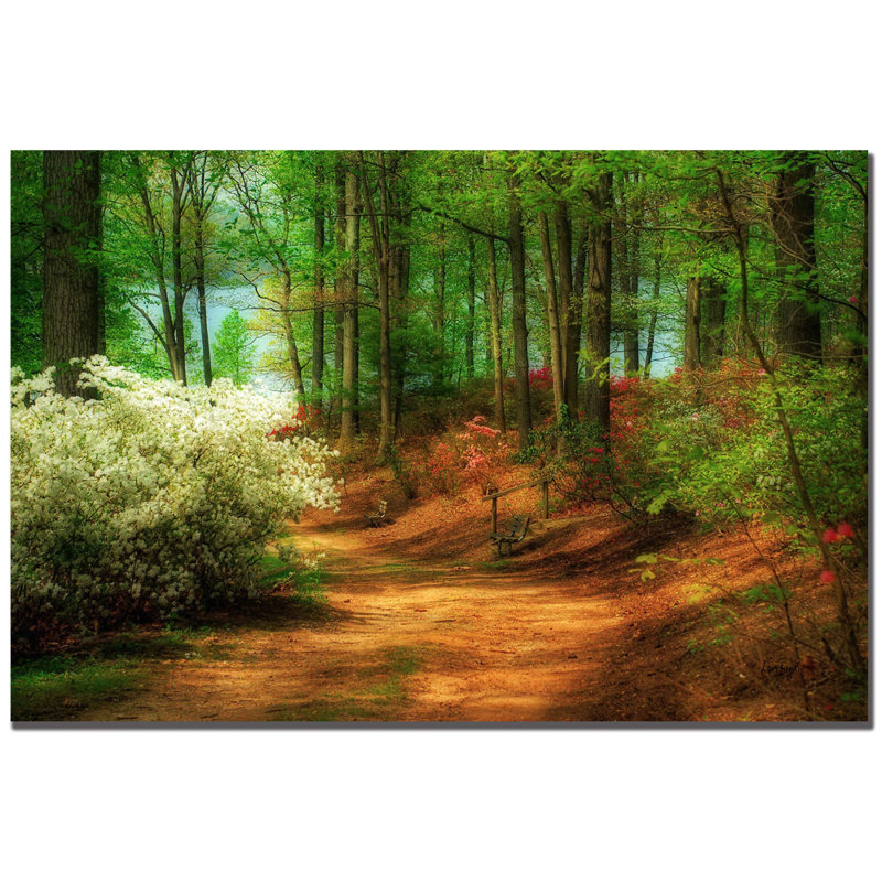 " Favourite Path " by Lois Bryan
