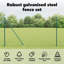 Galvanised Steel Border Fencing-588533964-588533965