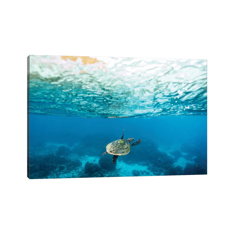 Green Sea Turtle Under The Surface 1 Piece Wrapped Canvas Wall Art, 20.32cm H x 30.48cm W