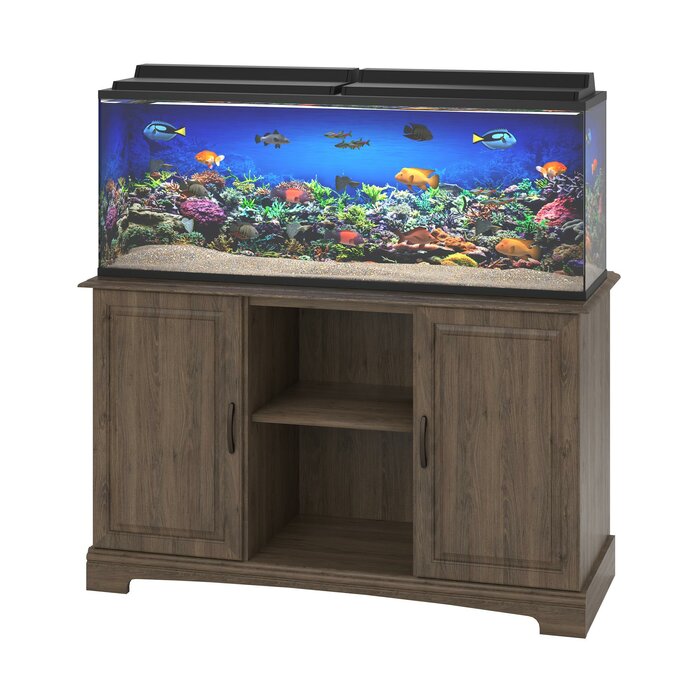 Archie & Oscar™ Deirdre Rectangle Aquarium Stand & Reviews | Wayfair