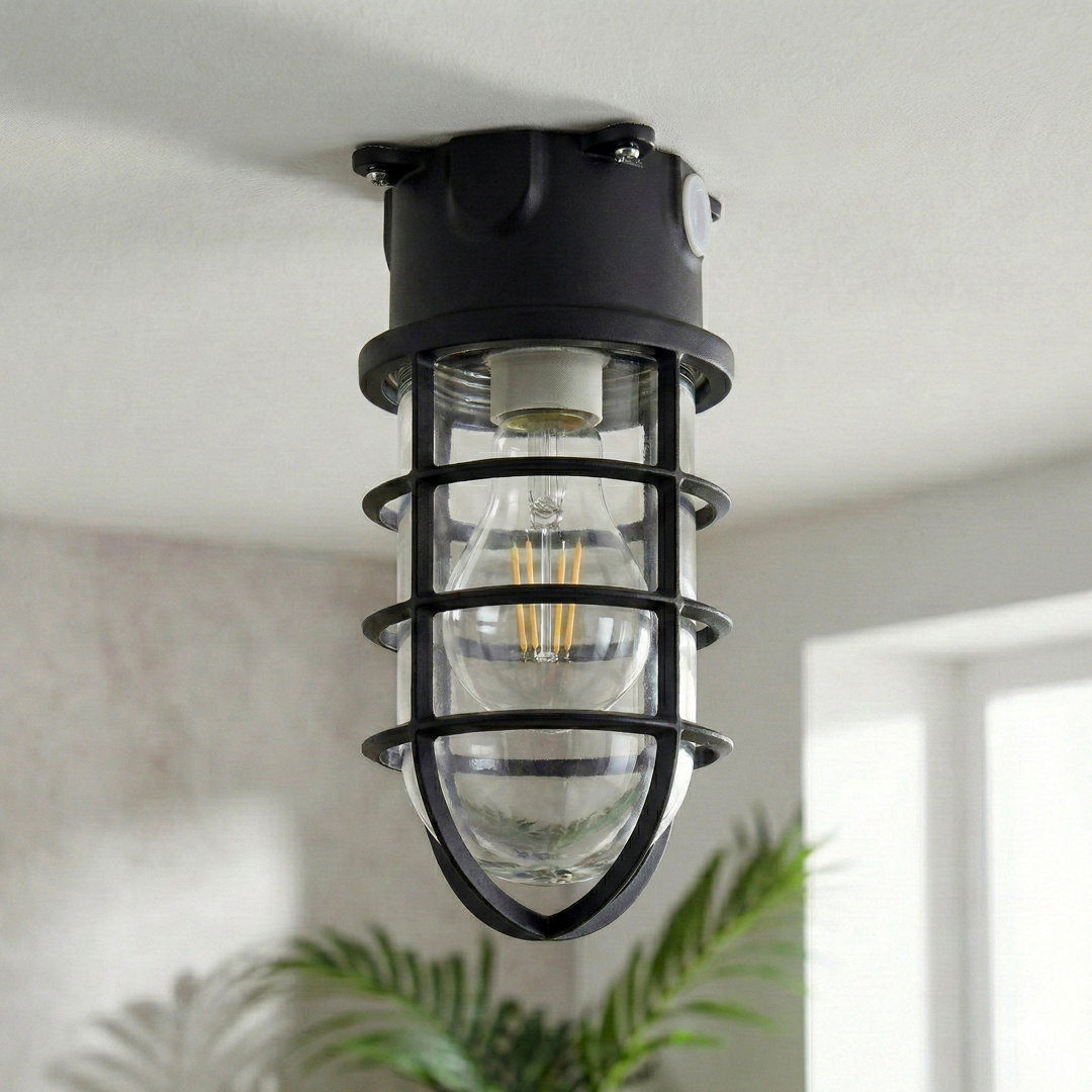 23cm Industrial Ceiling Light, Warm & Cozy Glow with Clear Glass Cover, Metal Cage, E27 Bulb Compatible for Kitchen, Cafe, Hallway