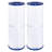 Wowreed Spa Filter Compatible with C-4326, FC-2375, PRB25-IN,2 pack
