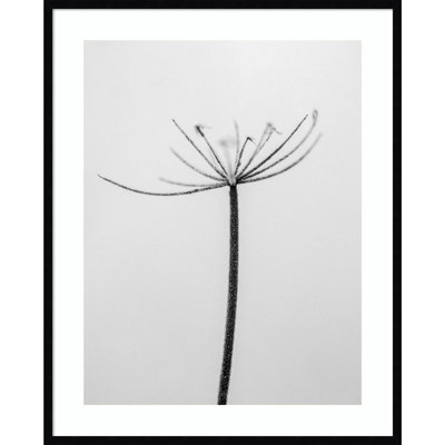 «Amid the Flowers 6» par Teis Albers - reproduction d'un seul cadre