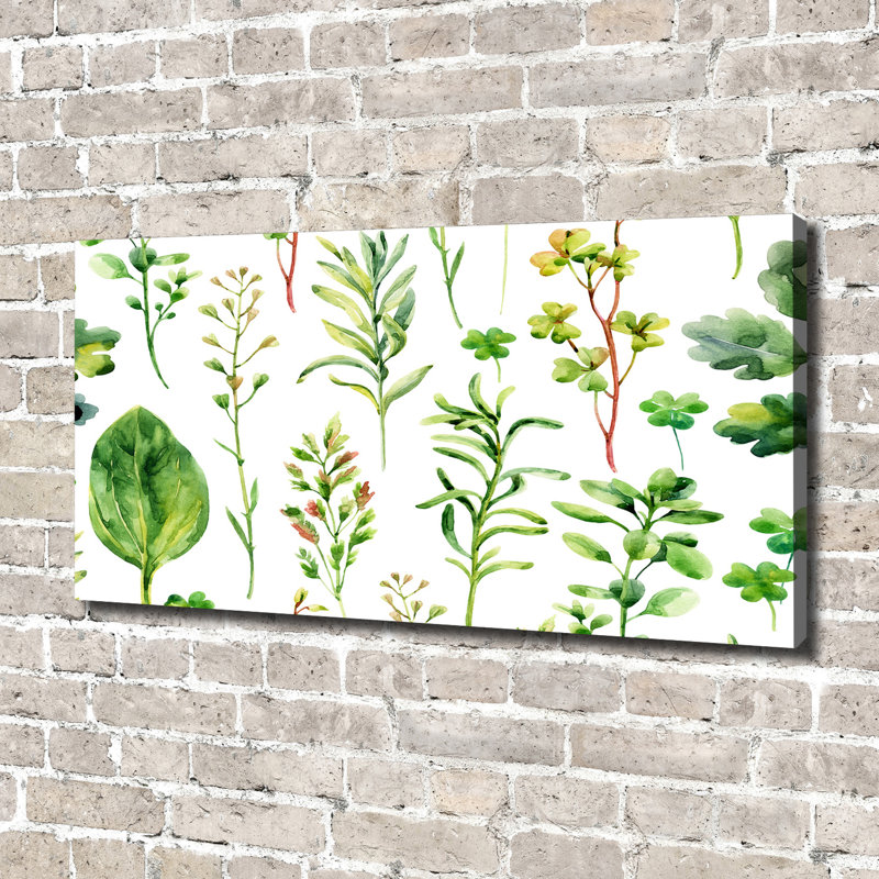 Herbs And Weeds - Wrapped Canvas Print