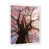 White Floater Framed Canvas