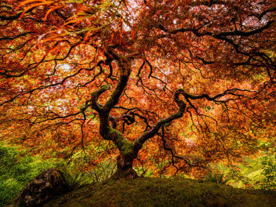 Wrapped Canvas Print, 60.96 cm H x 91.44 cm W