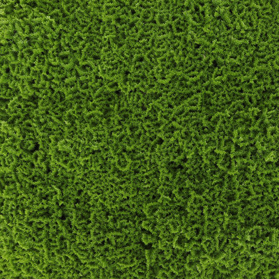 Mousse de verdure protégée contre les rayons UV pour la décoration extérieure. Panneaux de 20 po x 20 po (ensemble de 4)