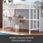 Derion Kids-757529302-757529297