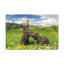 Wall Art on Canvas-441172420