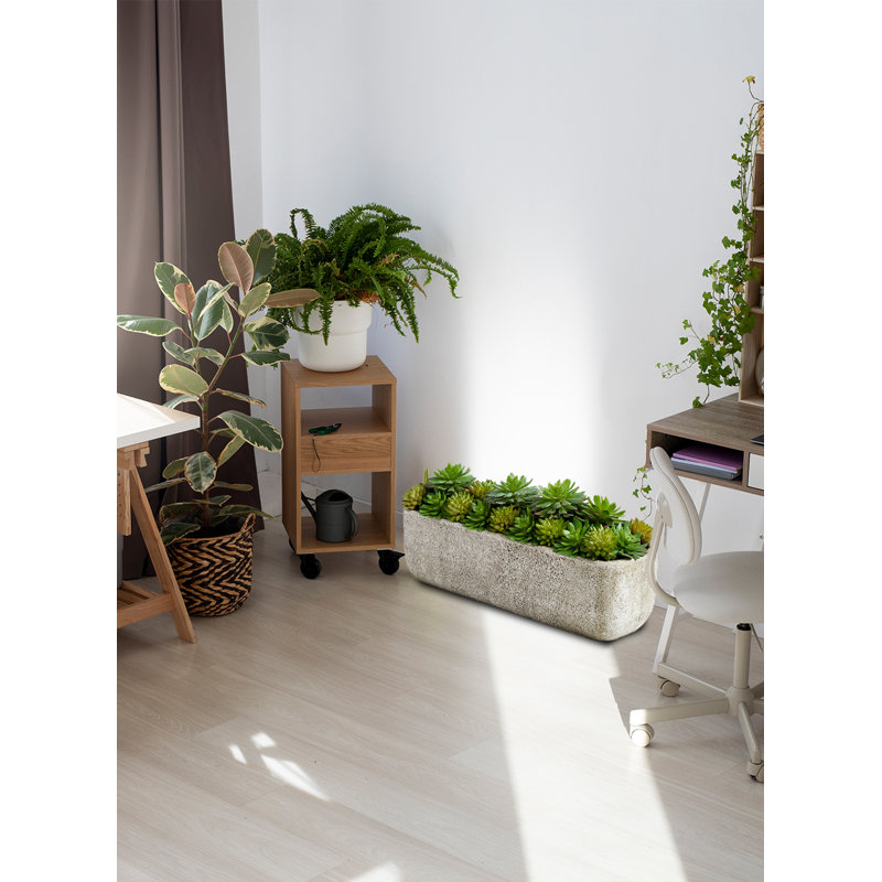 5'' Faux Succulent Plant in Stone Planter