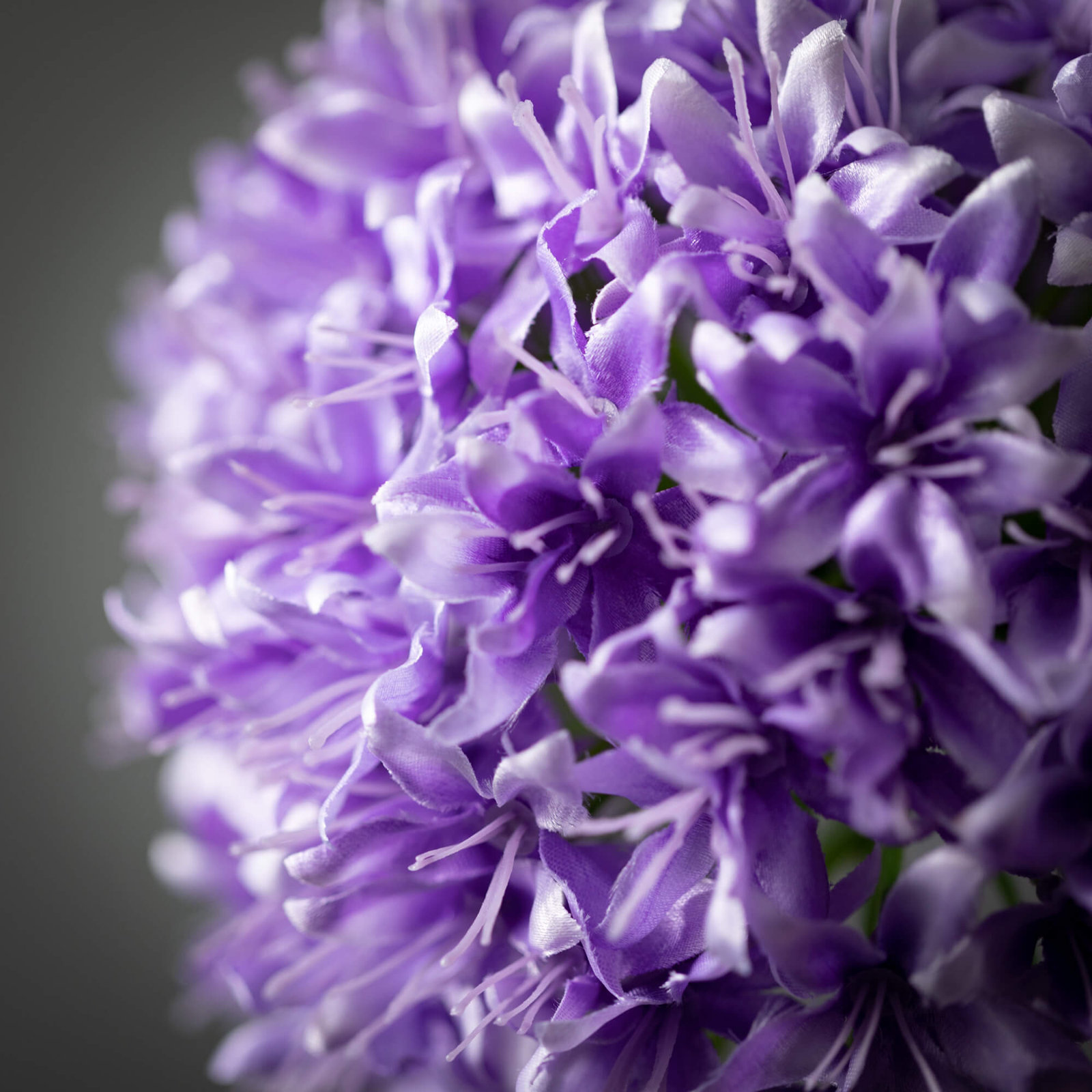 Lush Allium Floral Stems