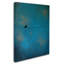 «Lone Bird Blue», reproduction d'impression sur toile tendue-1153213603
