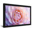 Plantes et fleurs, motif de fleurs rose pastel doux-508384-508189-508188
