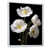 Cadre flottant blanc