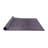 Oriental Indoor Rug-1463892319