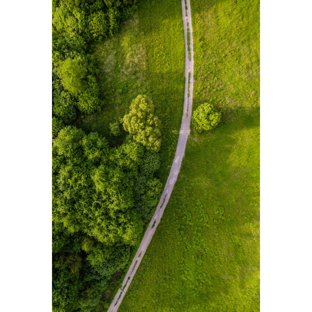 Dirt Road Arial View von Kajdi Szabolcs - Kunstdrucke