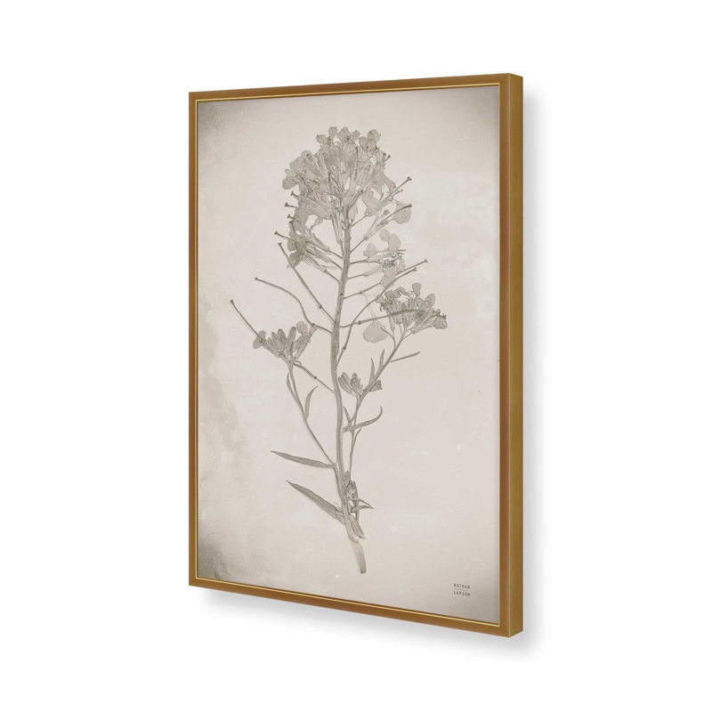 «Wildflower Journal Vintage I» par Nathan Larson, reproduction d'art, H 18 po x l 12 po, Doré