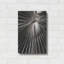 Red Barrel Studio® «Palm Frond 1» par Debra Van Swearingen, art mural en métal-964182491