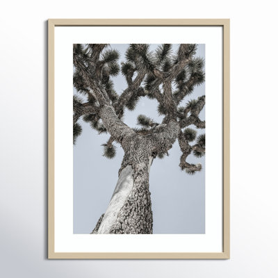 Joshua by Shot by Clint Wood Framed Wall Art Print
