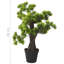 60cm Faux Pine Plant in Pot