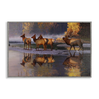 Distant Challenge Elk Family Giclee Art by Rod Lawrence