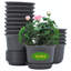Nursery Pot-1393124054