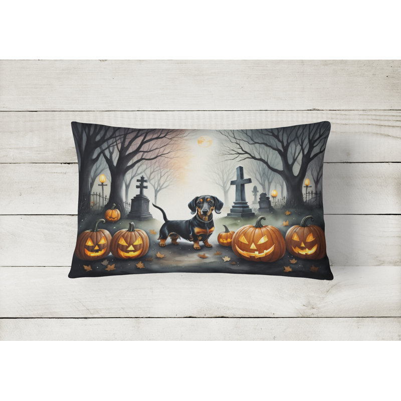 Other/No Pattern Outdoor Throw Pillow