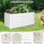 1 lit de jardin rectangulaire surélevé blanc 6x3x2FT-1399921641-1399921650-1399921645