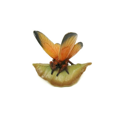 Papillon sur une feuille Dehn