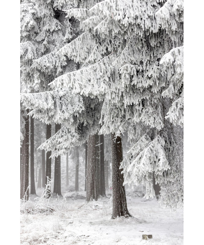 Wrapped Canvas Print, 91.44 cm H x 60.96 cm W